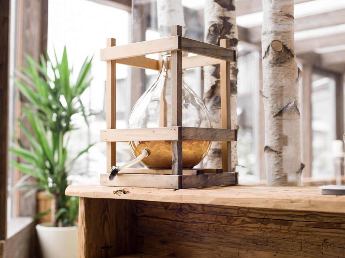 A glass vessel in a wooden frame on a rustic table, surrounded by birch trees and a green plant, in a bright, natural setting.