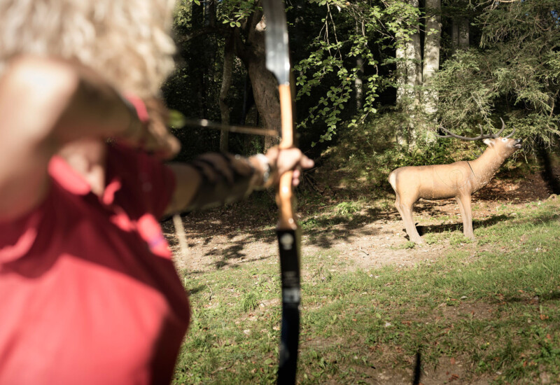 A person aiming a bow at a deer target in a wooded area.