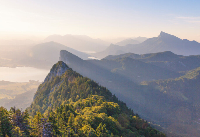 Scenic view of lush green hills and distant mountains under a clear blue sky at sunrise.