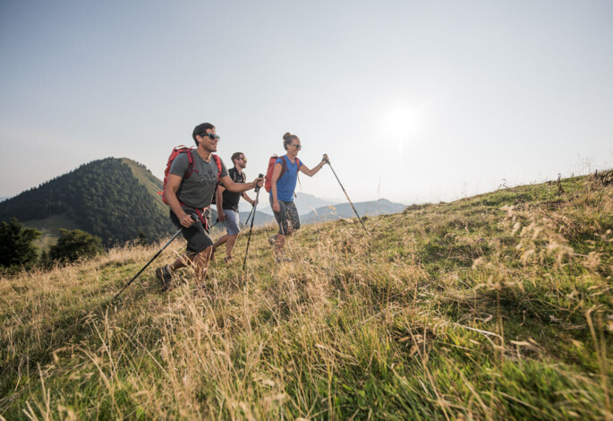 A group of hikers with backpacks and poles walking uphill in a lush, scenic landscape under a clear sky.