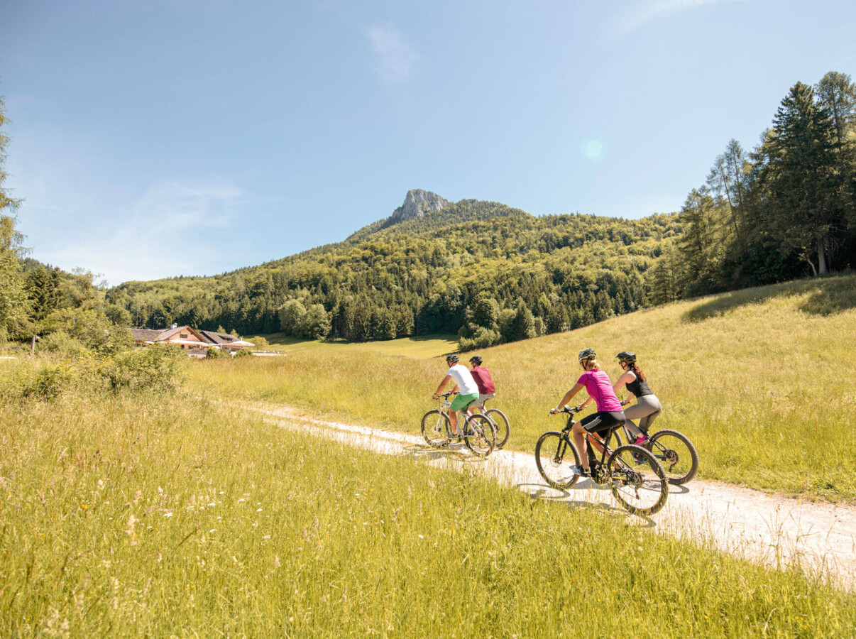 Three cyclists ride along a scenic path surrounded by lush greenery and hills, under a clear blue sky.