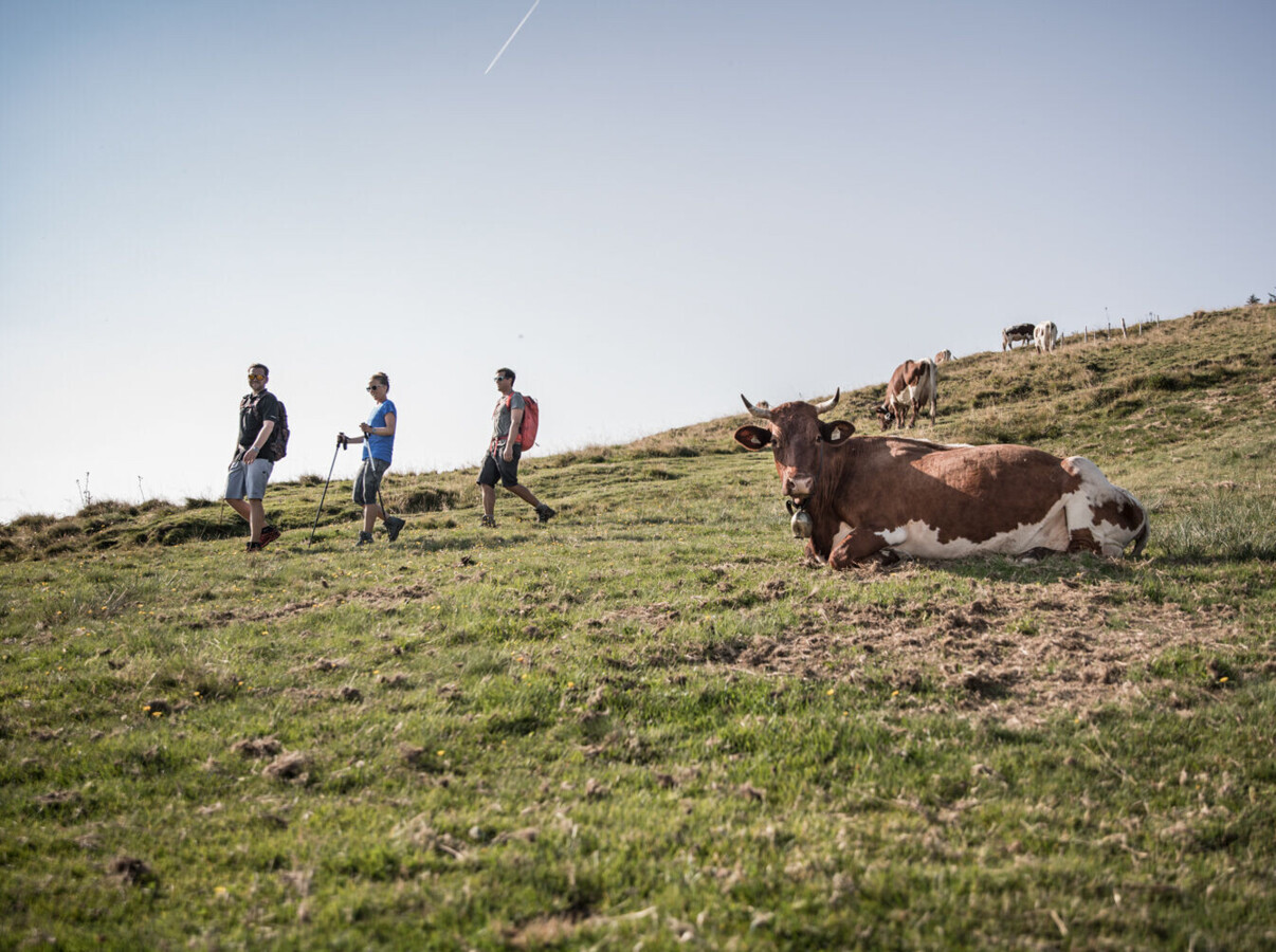 Wanderer auf einer Alm im Salzkammergut.