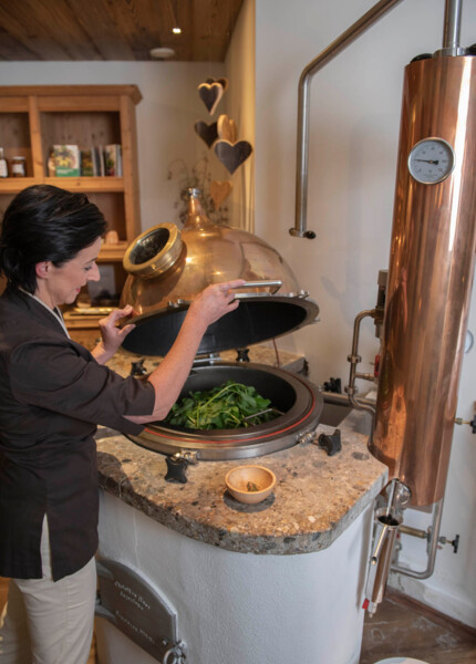 A person using a copper distillation apparatus with fresh herbs inside.