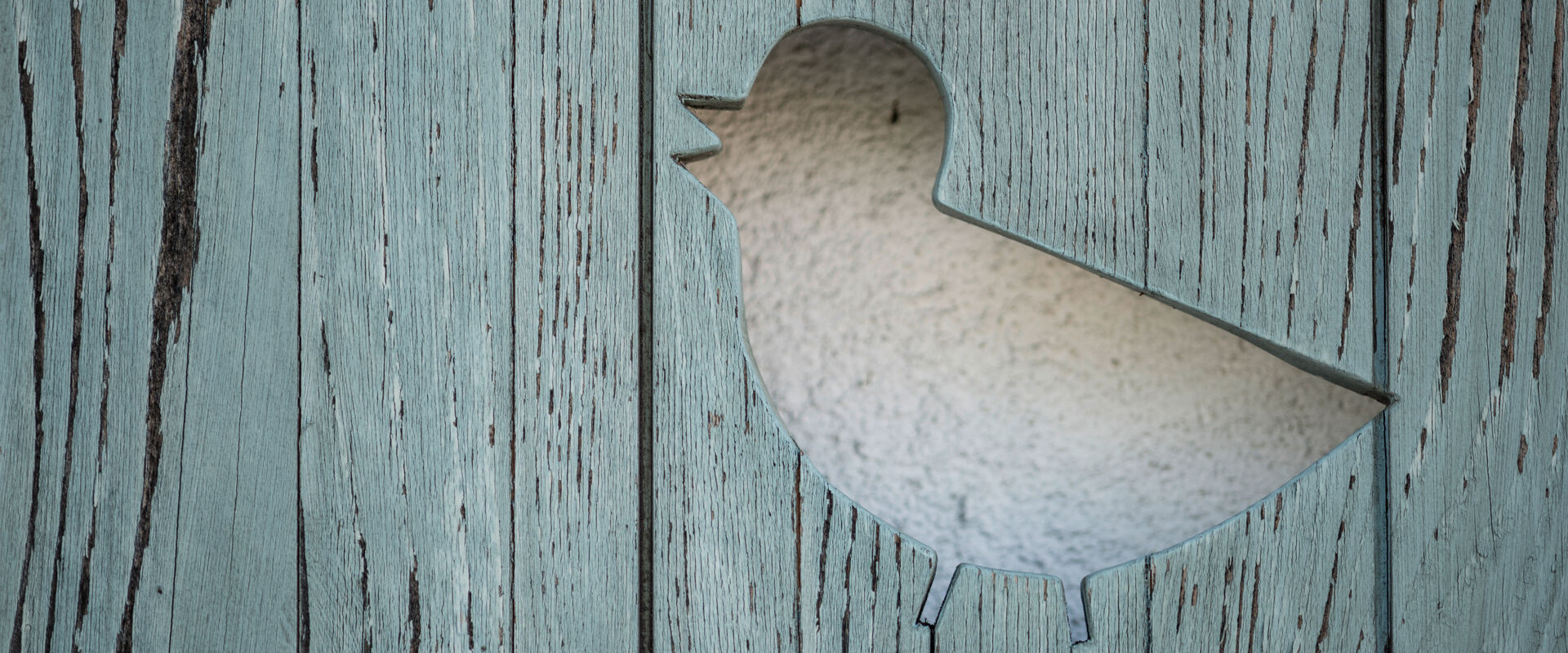 A bird-shaped cutout in rustic blue wood, revealing a textured white background.