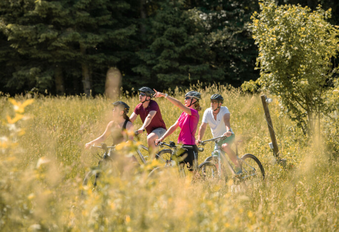 Four cyclists enjoy a lush, scenic ride through a meadow, surrounded by trees and greenery.