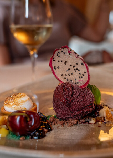 A gourmet dessert platter featuring a dragon fruit slice, berry sorbet, and pastries, elegantly presented with a glass of white wine in the background.