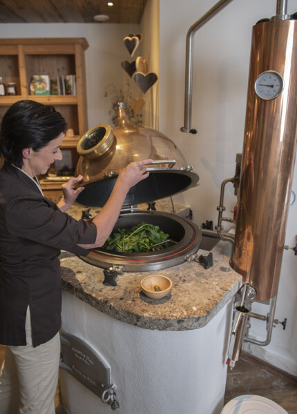 A woman operates a distillation apparatus, adding fresh green leaves inside.