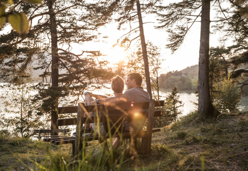 A couple sits on a bench in a forest, overlooking a sunlit lake, surrounded by trees.