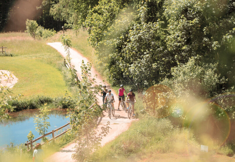 Cyclists riding on a scenic path through lush greenery by a pond.