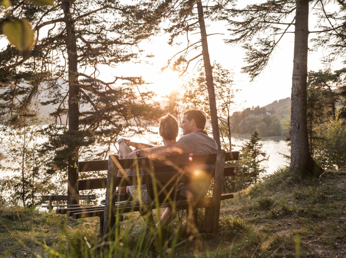 A couple sits on a bench in a forest, overlooking a sunlit lake, surrounded by trees.