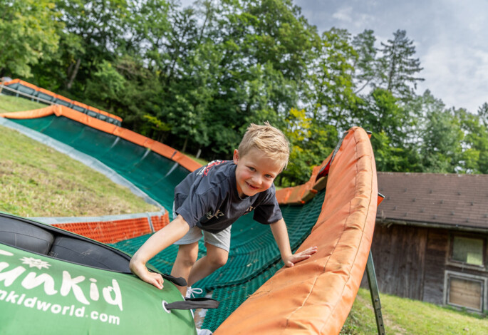 Kinder beim Füttern von zwei Eseln im Streichelzoo des Waldhof Fuschlsee Resorts.