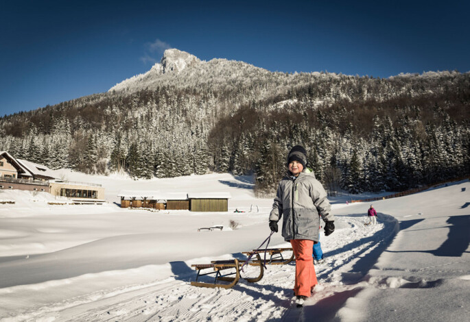 Ein Kind zieht einen Schlitten durch eine Winterlandschaft.