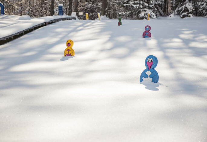 Die tief verschneite Winterwelt bei der Waldhofalm mit Zauberteppich.